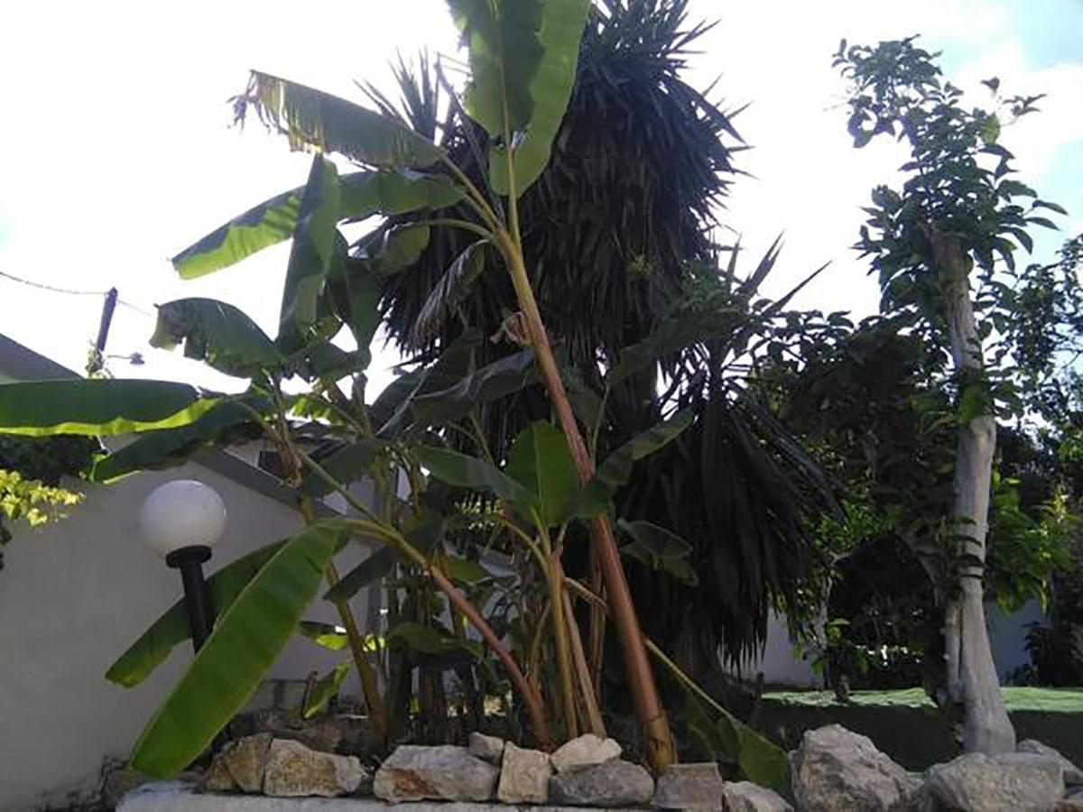 Aragorn Paradise Garden Moraḯtika Buitenkant foto