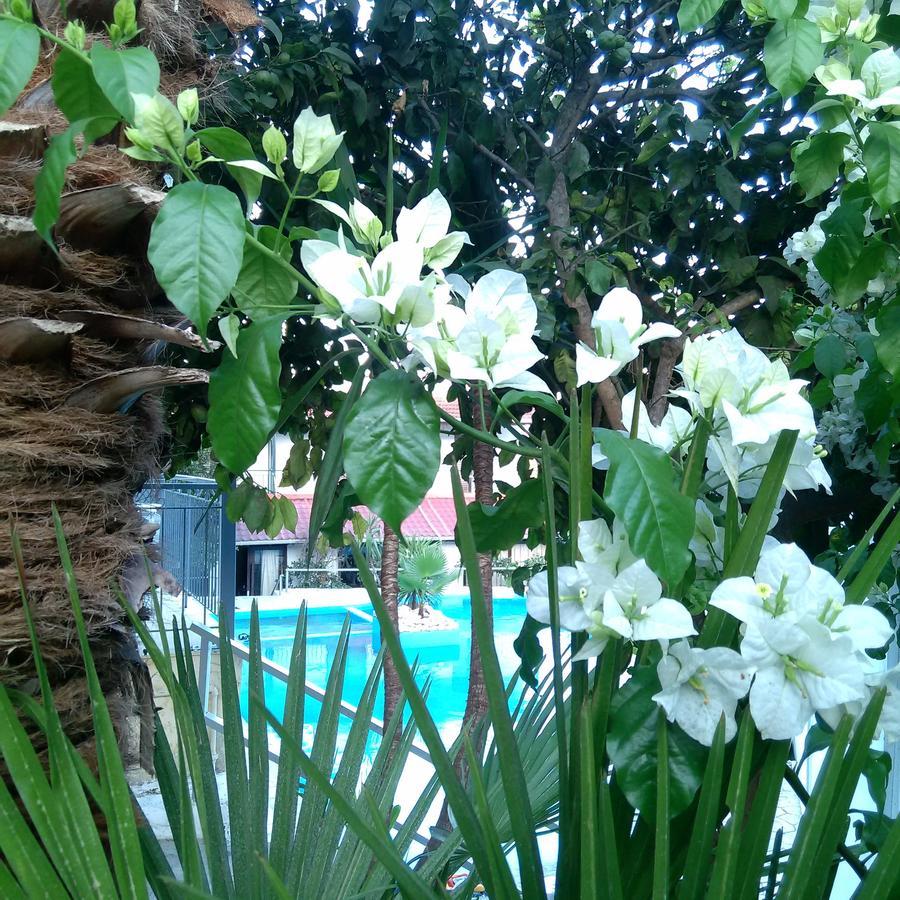Aragorn Paradise Garden Moraḯtika Buitenkant foto